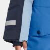blue9 Didriksons Bjärven talvekombe 'Sapphire Blue'