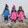 Didriksons Bjärven talvekombe 'Swee Pink'